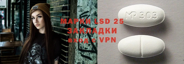 стафф Михайловск