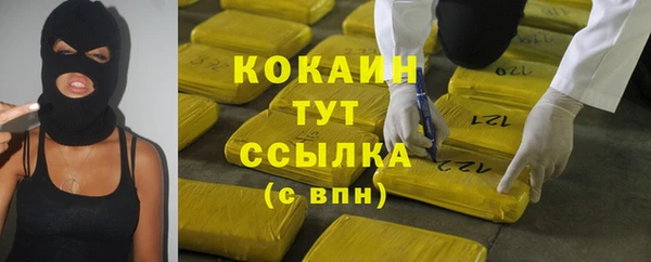 стафф Михайловск