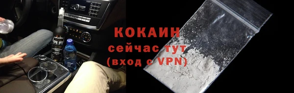 крисы Гатчина