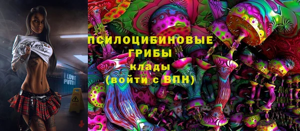 мдма Гвардейск