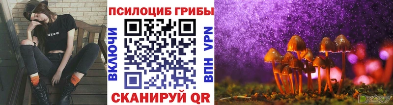 гидра зеркало  Ивангород  Псилоцибиновые грибы Magic Shrooms 